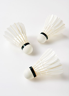 포토 JPG 스튜디오촬영 스포츠 실내 사람없음 운동 셔틀콕 배드민턴 국내포토 스포츠용품 건강 내부 구기 파일형식