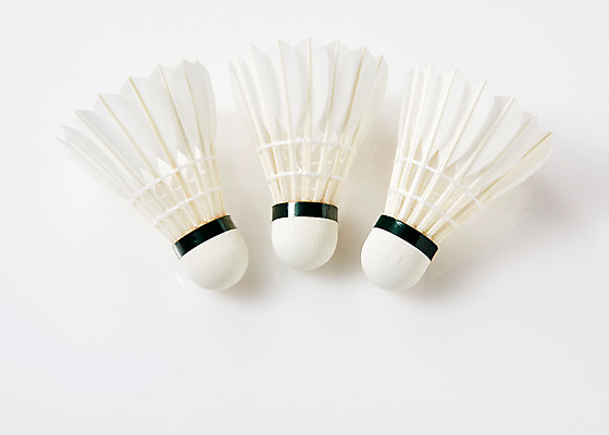 포토 JPG 스튜디오촬영 스포츠 실내 사람없음 운동 셔틀콕 배드민턴 국내포토 스포츠용품 건강 내부 구기 파일형식