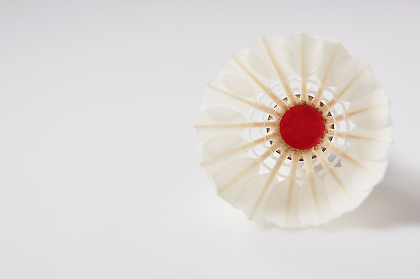 포토 JPG 스튜디오촬영 스포츠 실내 사람없음 운동 셔틀콕 배드민턴 국내포토 스포츠용품 건강 내부 구기 파일형식