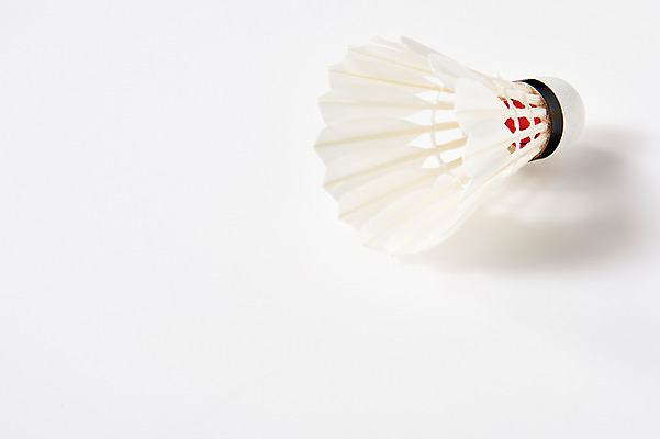 포토 JPG 스튜디오촬영 스포츠 실내 사람없음 운동 셔틀콕 배드민턴 국내포토 스포츠용품 건강 내부 구기 파일형식