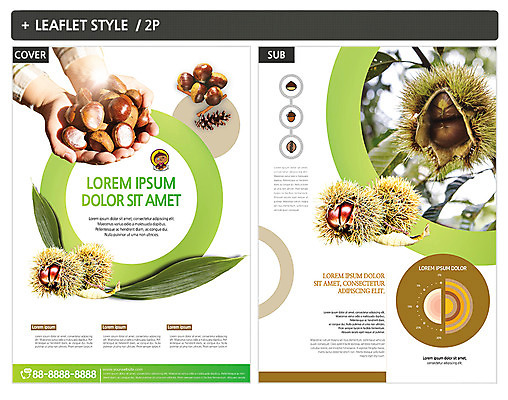 나무 템플릿 손 ZIP 포스터 리플렛 그래프 들기 아웃포커스 신체부위 밤 밤송이 전단템플릿 전단 인디자인 INDD 이미지템플릿 식물 모션 촬영기법 사람 견과류 밤_견과류 홍보물 파일형식