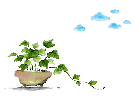 PSD 식물 구름 화분 일러스트 캘리그라피 하늘 나뭇잎 사람없음 국내일러스트 자연요소 잎 파일형식