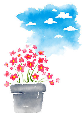 PSD 식물 구름 꽃 화분 일러스트 캘리그라피 하늘 사람없음 국내일러스트 자연요소 파일형식