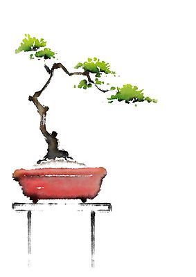 PSD 식물 화분 일러스트 캘리그라피 사람없음 소나무 분재 국내일러스트 나무 파일형식