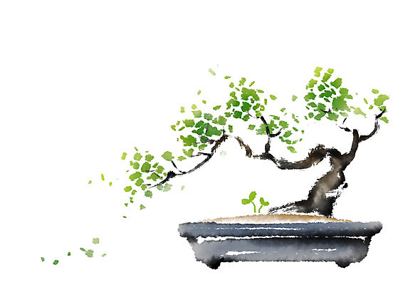 PSD 식물 화분 일러스트 캘리그라피 사람없음 분재 국내일러스트 나무 파일형식