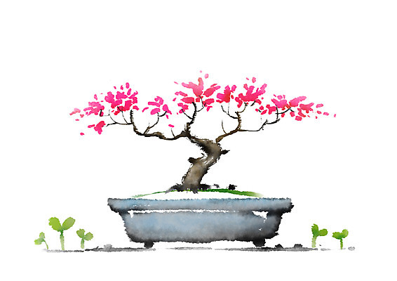 PSD 식물 꽃 화분 일러스트 캘리그라피 사람없음 새싹 분재 국내일러스트 나무 파일형식