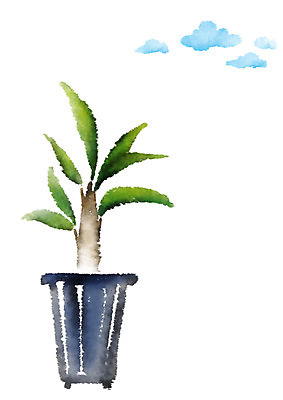 PSD 나무 식물 구름 화분 일러스트 캘리그라피 사람없음 국내일러스트 자연요소 파일형식