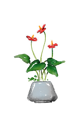 PSD 식물 꽃 화분 일러스트 캘리그라피 사람없음 국내일러스트 파일형식