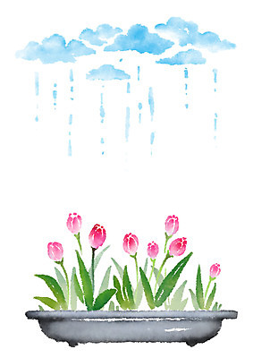 PSD 식물 구름 화분 일러스트 캘리그라피 사람없음 튤립 비 국내일러스트 자연요소 꽃 날씨 파일형식