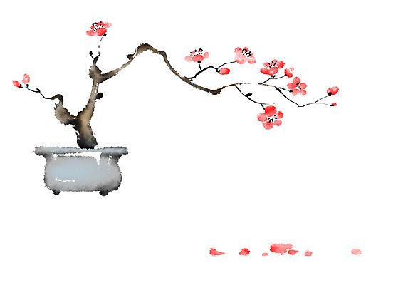 PSD 식물 꽃잎 화분 일러스트 캘리그라피 사람없음 매화 국내일러스트 꽃 파일형식