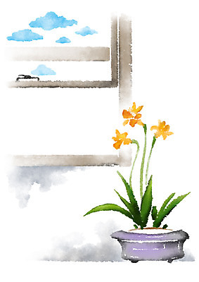 PSD 식물 구름 꽃 화분 일러스트 캘리그라피 창문 하늘 사람없음 국내일러스트 자연요소 파일형식