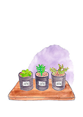 PSD 식물 화분 일러스트 캘리그라피 사람없음 다육식물 국내일러스트 파일형식