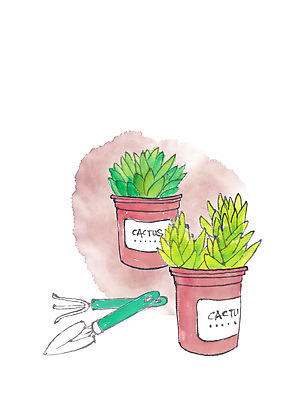 PSD 식물 화분 일러스트 캘리그라피 사람없음 모종삽 다육식물 국내일러스트 삽 파일형식