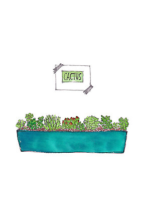 PSD 식물 화분 일러스트 캘리그라피 사람없음 다육식물 국내일러스트 파일형식