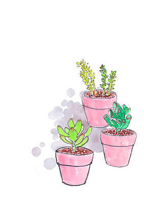 PSD 식물 화분 일러스트 캘리그라피 사람없음 다육식물 국내일러스트 파일형식