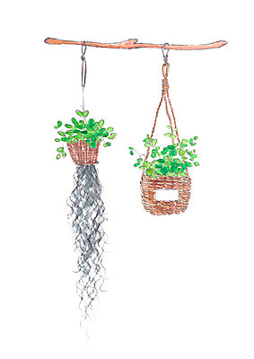 PSD 식물 화분 일러스트 캘리그라피 사람없음 뿌리 벽걸이 행잉플랜트 국내일러스트 파일형식