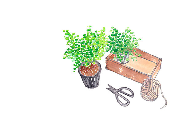 PSD 식물 화분 일러스트 캘리그라피 가위 사람없음 실 국내일러스트 문구용품 파일형식