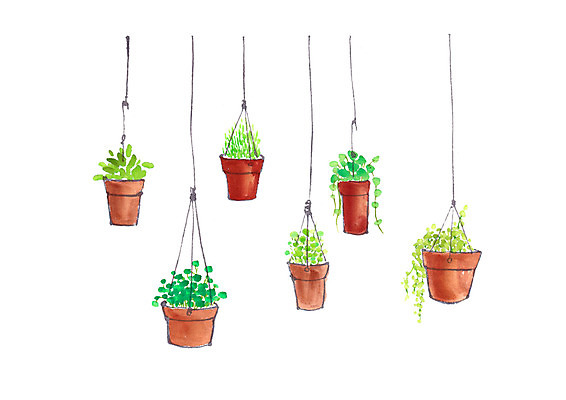 PSD 식물 화분 줄 일러스트 캘리그라피 사람없음 벽걸이 행잉플랜트 국내일러스트 파일형식