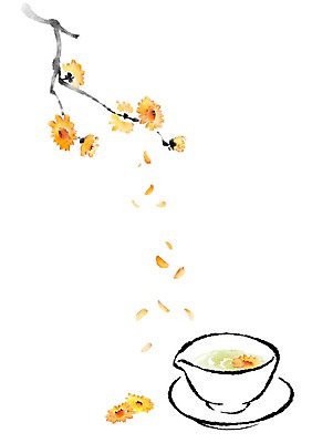 PSD 한국전통 전통 일러스트 캘리그라피 국화 사람없음 예절 차 찻잔 다도 국화차 국내일러스트 꽃 음료 잔 한국 차_음료 파일형식