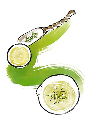 PSD 한국전통 전통 일러스트 캘리그라피 붓터치 사람없음 예절 차 찻잔 다도 찻잎 국내일러스트 음료 잔 한국 차_음료 파일형식