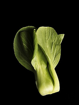 포토 JPG 웰빙 채소 검은배경 누끼 사람없음 신선 유기농 청경채 국내포토 백그라운드 검은색 파일형식