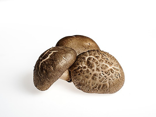 포토 JPG 스튜디오촬영 웰빙 채소 실내 누끼 사람없음 신선 흰배경 유기농 표고버섯 국내포토 백그라운드 내부 버섯 흰색 파일형식