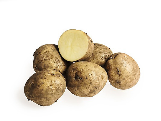 포토 JPG 스튜디오촬영 웰빙 채소 단면 감자 실내 누끼 사람없음 신선 흰배경 유기농 국내포토 백그라운드 내부 흰색 파일형식