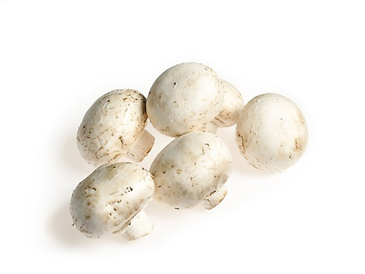 포토 JPG 스튜디오촬영 웰빙 채소 실내 누끼 사람없음 신선 흰배경 유기농 양송이 국내포토 백그라운드 내부 버섯 흰색 파일형식