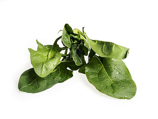 포토 JPG 스튜디오촬영 웰빙 채소 실내 누끼 사람없음 신선 흰배경 유기농 시금치 국내포토 백그라운드 내부 흰색 파일형식