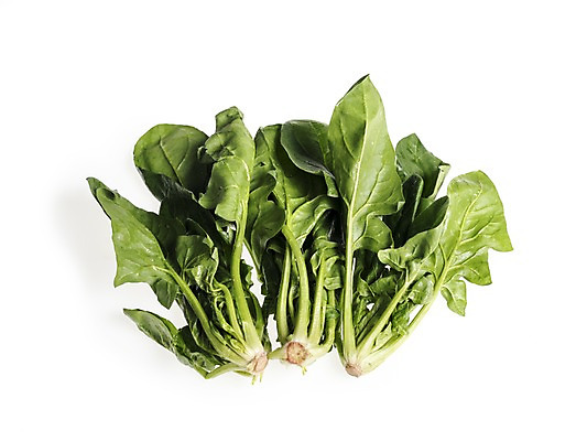포토 JPG 스튜디오촬영 웰빙 채소 실내 누끼 사람없음 신선 흰배경 유기농 시금치 국내포토 백그라운드 내부 흰색 파일형식