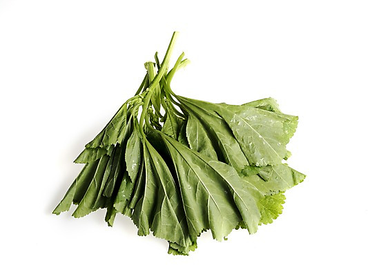 포토 JPG 스튜디오촬영 웰빙 채소 실내 누끼 사람없음 신선 흰배경 유기농 아욱 국내포토 백그라운드 내부 흰색 파일형식