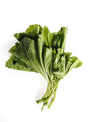 포토 JPG 스튜디오촬영 웰빙 채소 실내 누끼 사람없음 신선 흰배경 유기농 아욱 국내포토 백그라운드 내부 흰색 파일형식