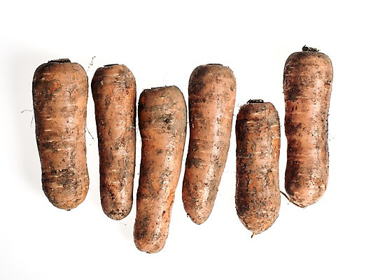 포토 JPG 스튜디오촬영 웰빙 채소 실내 누끼 사람없음 당근 신선 흰배경 유기농 국내포토 백그라운드 뿌리채소 내부 흰색 파일형식