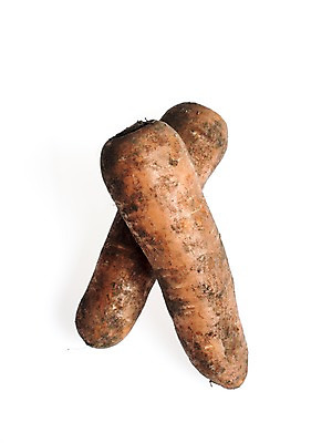 포토 JPG 스튜디오촬영 웰빙 채소 실내 누끼 사람없음 당근 신선 흰배경 유기농 국내포토 백그라운드 뿌리채소 내부 흰색 파일형식