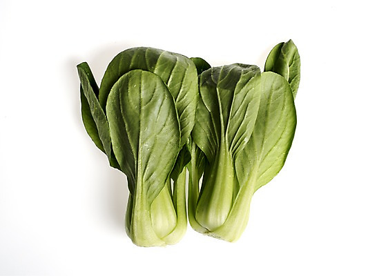 포토 JPG 스튜디오촬영 웰빙 채소 실내 누끼 사람없음 신선 흰배경 유기농 청경채 국내포토 백그라운드 내부 흰색 파일형식