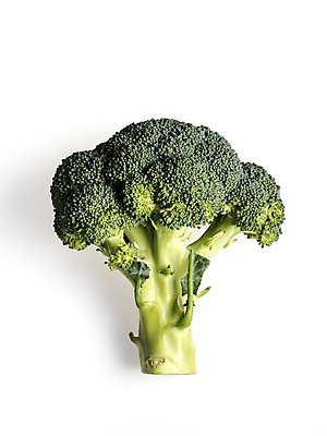포토 JPG 스튜디오촬영 웰빙 채소 실내 누끼 사람없음 신선 브로콜리 흰배경 유기농 국내포토 백그라운드 내부 흰색 파일형식