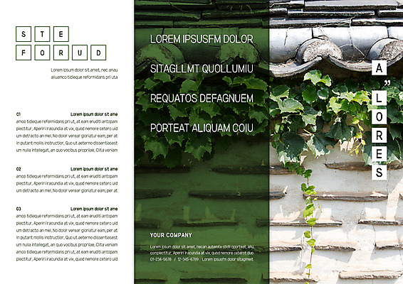 템플릿 한국전통 표지디자인 북디자인 출판디자인 표지 리플렛 벽 북커버 3단접지 기와집 팜플렛 사람없음 초록색 덩쿨나무 이미지템플릿 AI파일 나무 전통 컬러 한옥 한국 파일형식 벡터