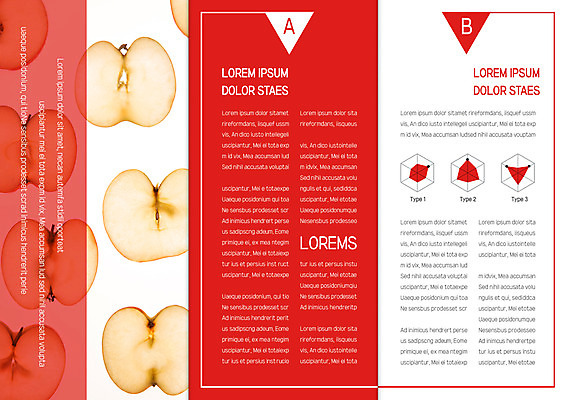 템플릿 표지디자인 북디자인 출판디자인 내지 리플렛 북커버 3단접지 그래프 팜플렛 사람없음 빨간색 여러개 사과 반쪽 이미지템플릿 AI파일 컬러 다수 과일 파일형식 벡터