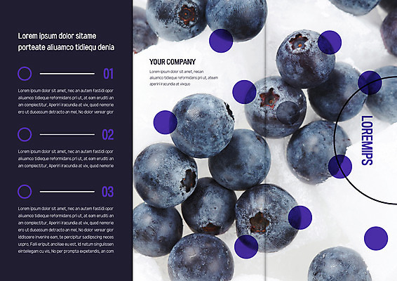 템플릿 표지디자인 북디자인 출판디자인 표지 리플렛 북커버 3단접지 근접촬영 팜플렛 사람없음 보라색 여러개 원형 블루베리 이미지템플릿 AI파일 도형 뷰포인트 컬러 다수 과일 파일형식 벡터