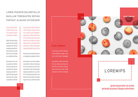 템플릿 표지디자인 북디자인 출판디자인 표지 리플렛 북커버 과일 3단접지 흑백 팜플렛 사람없음 사각형 여러개 복숭아 이미지템플릿 AI파일 도형 다수 촬영기법 파일형식 벡터