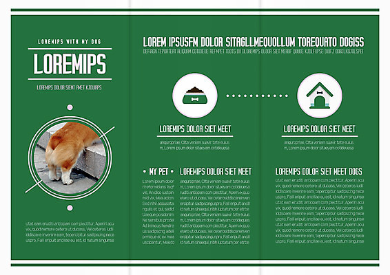 템플릿 한마리 표지디자인 북디자인 출판디자인 내지 리플렛 북커버 3단접지 팜플렛 사람없음 초록색 계단 원형 엉덩이 개집 개밥그릇 개사료 웰시코기 이미지템플릿 AI파일 도형 1 그릇 컬러 신체부위 개 먹이 애견용품 파일형식 벡터