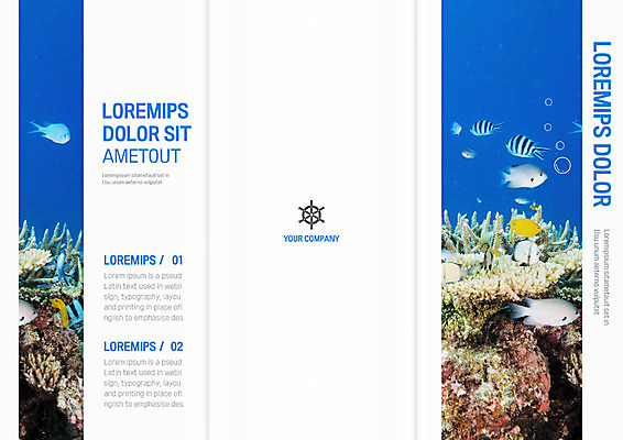 템플릿 표지디자인 북디자인 출판디자인 표지 리플렛 북커버 여러마리 3단접지 어류 팜플렛 사람없음 바닷속 물방울 산호초 이미지템플릿 AI파일 다수 수중 수중동물 수중식물 파일형식 벡터