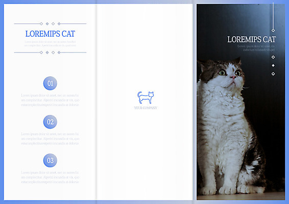 전신 템플릿 한마리 표지디자인 북디자인 응시 출판디자인 표지 리플렛 북커버 3단접지 팜플렛 사람없음 앞모습 고양이 반려 이미지템플릿 AI파일 1 시선 뷰포인트 포유류 반려동물 파일형식 벡터