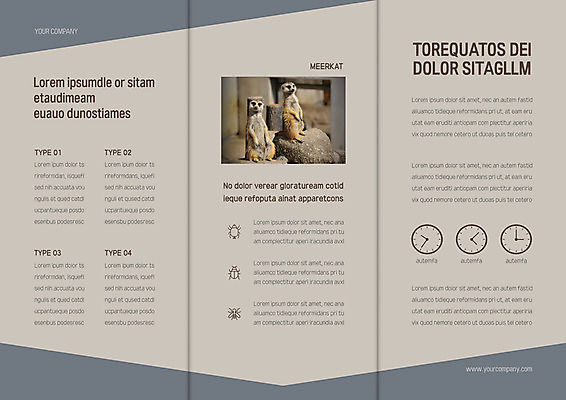 템플릿 표지디자인 북디자인 출판디자인 내지 리플렛 두마리 북커버 3단접지 팜플렛 사람없음 앞모습 바위 미어캣 이미지템플릿 AI파일 뷰포인트 2 돌_바위 파일형식 벡터