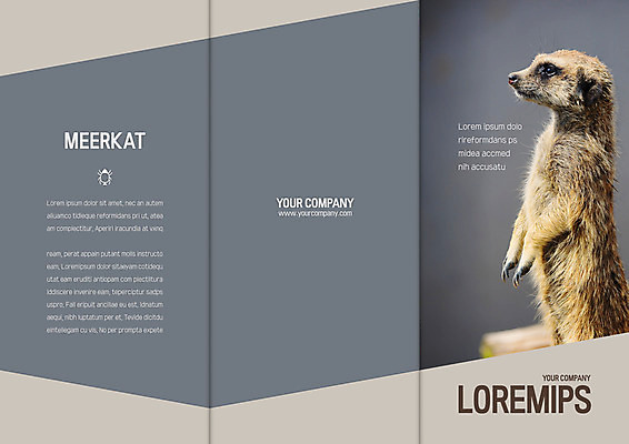 템플릿 한마리 표지디자인 북디자인 출판디자인 표지 리플렛 북커버 3단접지 팜플렛 사람없음 미어캣 이미지템플릿 AI파일 1 파일형식 벡터