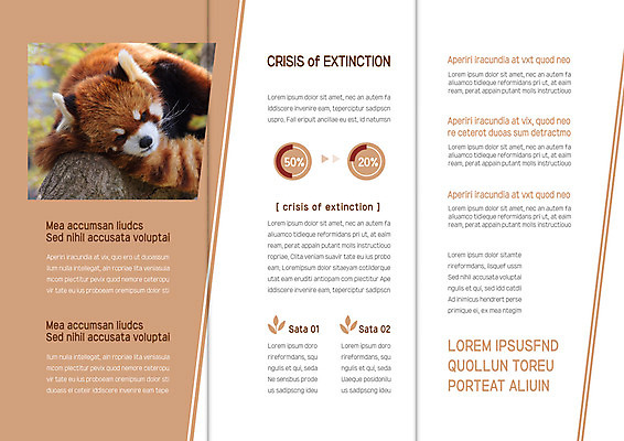 템플릿 한마리 표지디자인 북디자인 출판디자인 내지 리플렛 북커버 3단접지 팜플렛 사람없음 레서판다 이미지템플릿 AI파일 1 포유류 파일형식 벡터