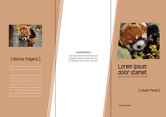 나무 템플릿 표지디자인 북디자인 출판디자인 표지 리플렛 두마리 북커버 3단접지 나뭇잎 팜플렛 사람없음 레서판다 이미지템플릿 AI파일 식물 잎 2 포유류 파일형식 벡터