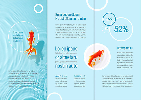 템플릿 표지디자인 북디자인 출판디자인 내지 물결 리플렛 두마리 북커버 3단접지 팜플렛 사람없음 파란색 수영 원형 금붕어 이미지템플릿 AI파일 도형 컬러 2 어류 수상스포츠 파일형식 벡터