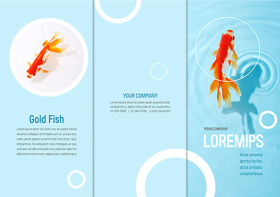 템플릿 표지디자인 북디자인 출판디자인 표지 리플렛 하늘색 두마리 북커버 3단접지 그림자 팜플렛 사람없음 원형 금붕어 이미지템플릿 AI파일 도형 2 어류 파란색 파일형식 벡터