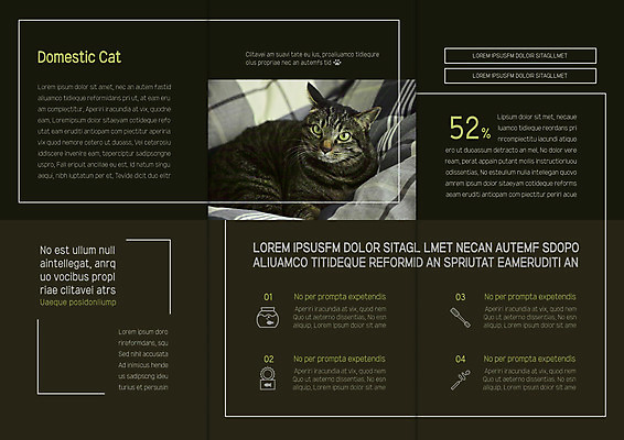 템플릿 한마리 표지디자인 북디자인 출판디자인 내지 리플렛 북커버 3단접지 팜플렛 사람없음 고양이 반려 이미지템플릿 AI파일 1 포유류 반려동물 파일형식 벡터
